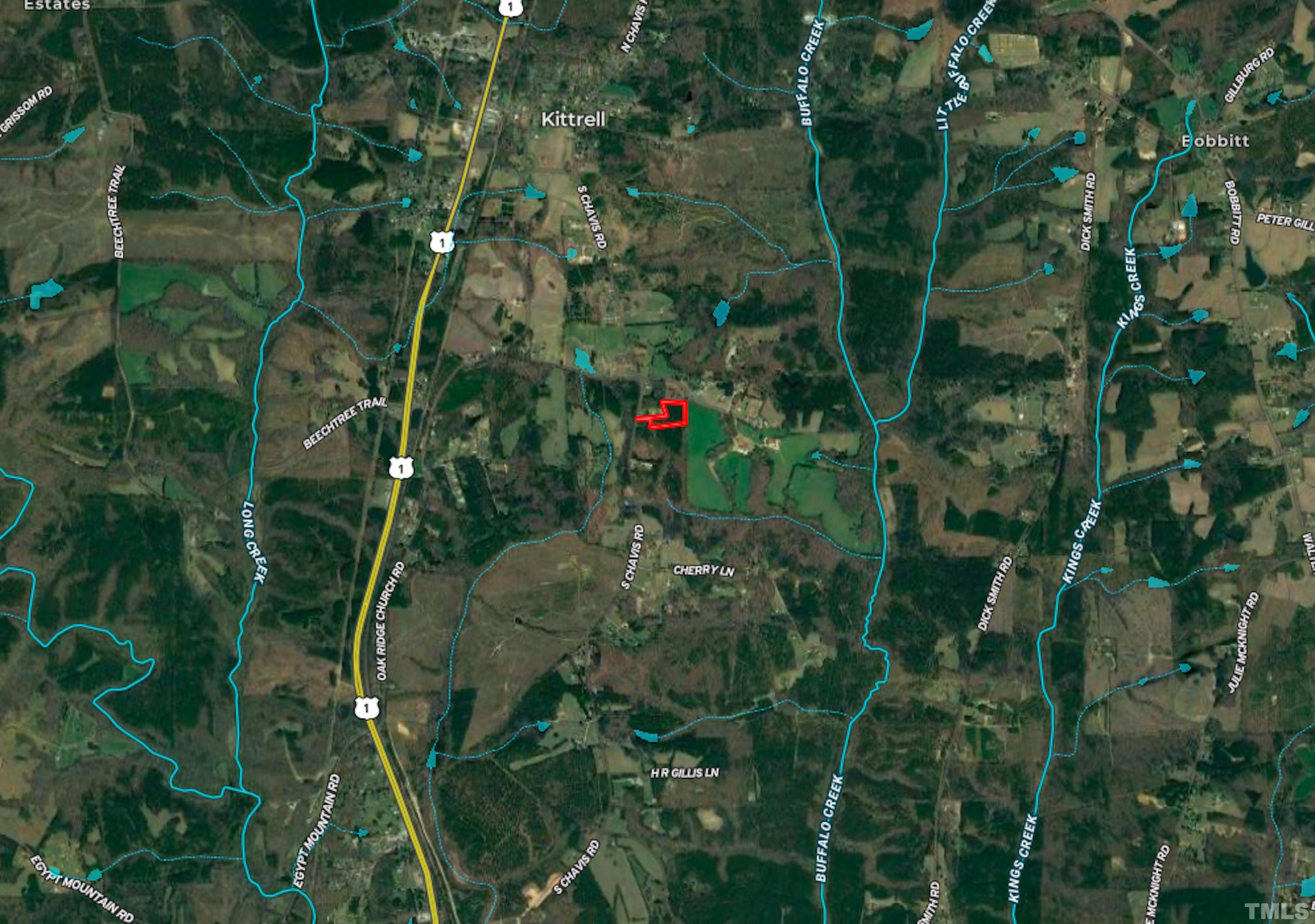 5-acres South Chavis Road Kittrell, NC 27544 - Photo 24 of 25 a view of a plant