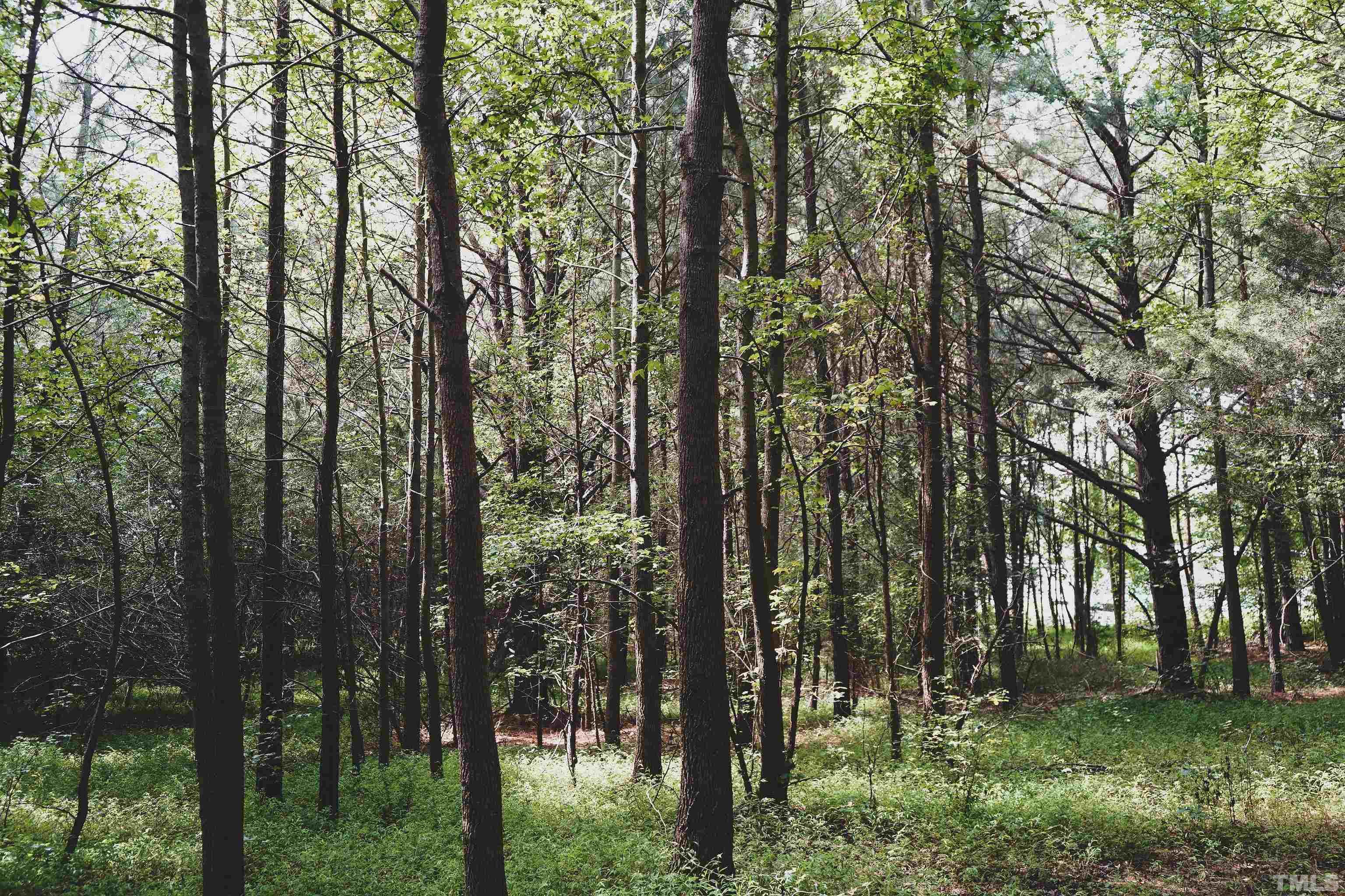5-acres South Chavis Road Kittrell, NC 27544 - Photo 5 of 25 a view of outdoor space and garden