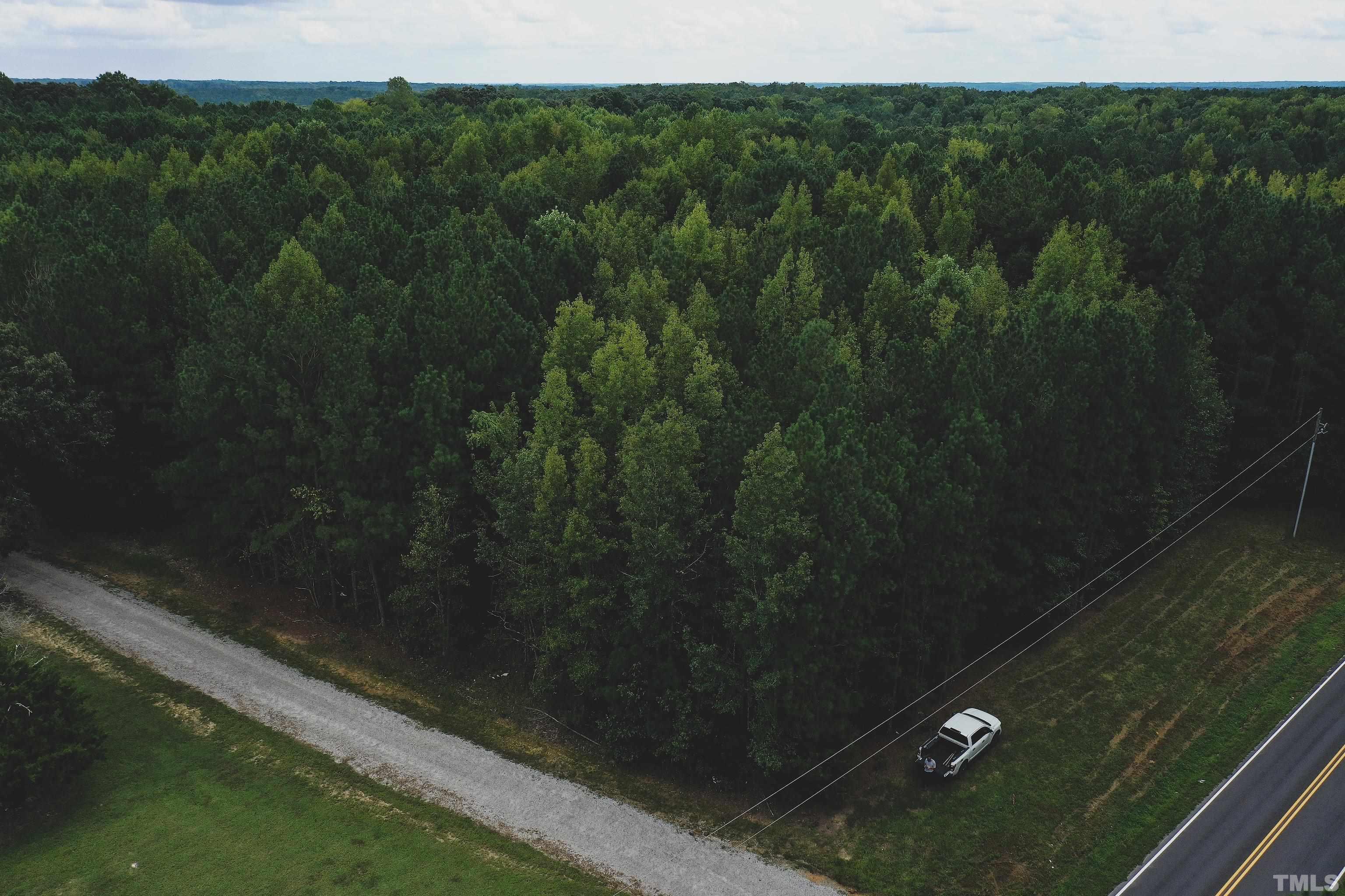 5-acres South Chavis Road Kittrell, NC 27544 - Photo 9 of 25 a view of a yard