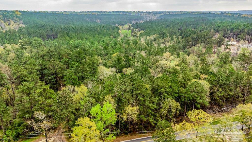 0 Morristown Road, Unit LOT B Jay, FL 32565 - Photo 2 of 8