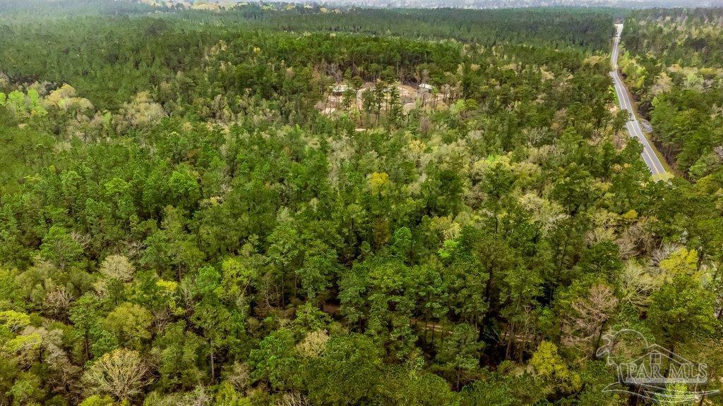 0 Morristown Road, Unit LOT B Jay, FL 32565 - Photo 3 of 8