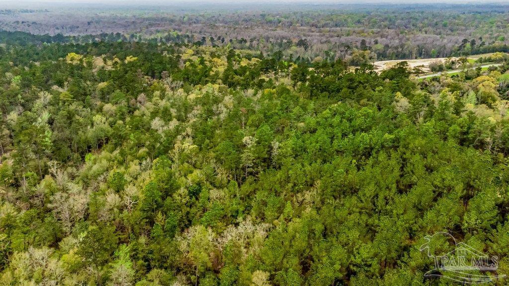 0 Morristown Road, Unit LOT B Jay, FL 32565 - Photo 4 of 8