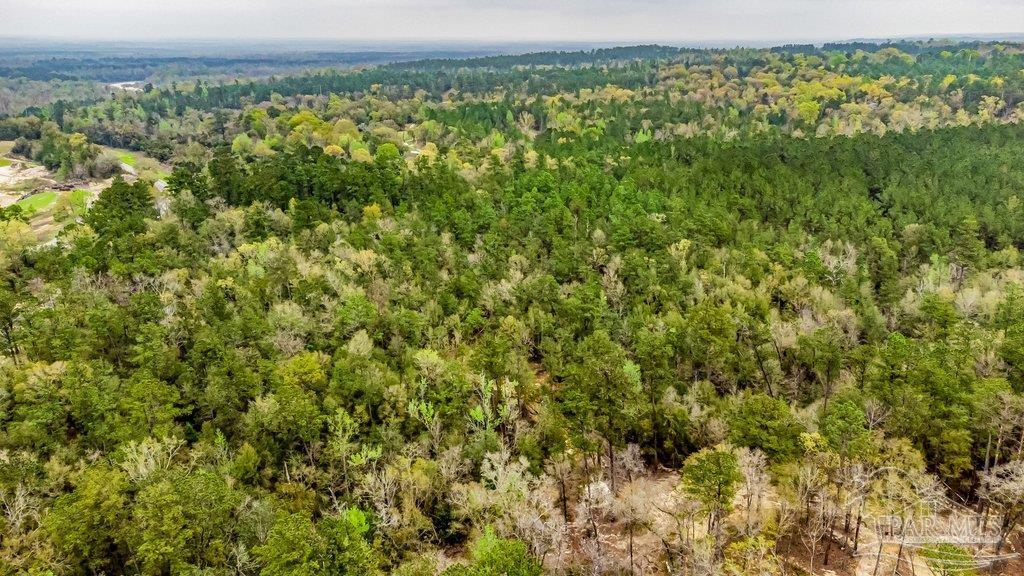 0 Morristown Road, Unit LOT B Jay, FL 32565 - Photo 5 of 8