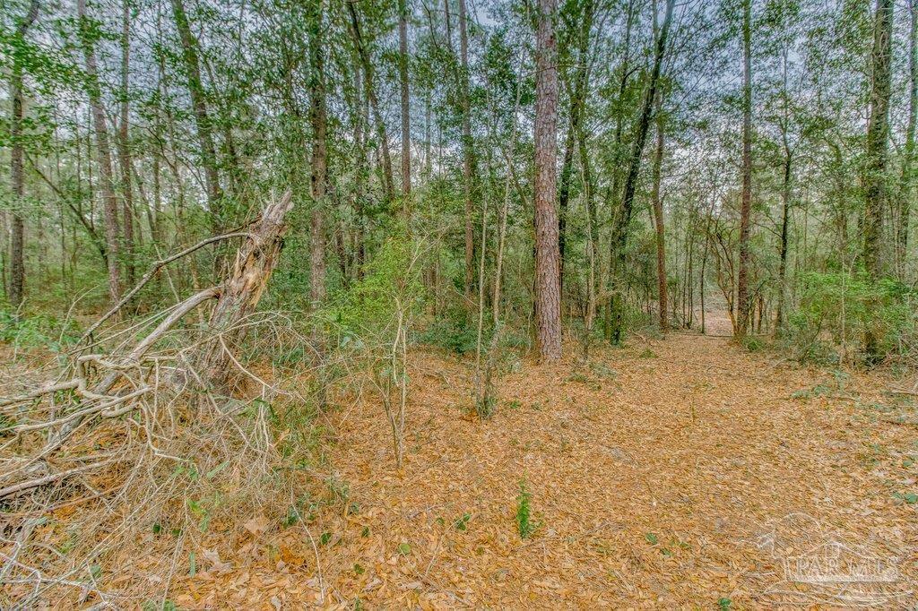 0 Morristown Road, Unit LOT B Jay, FL 32565 - Photo 6 of 8