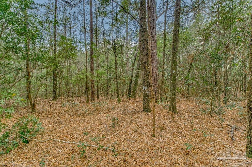 0 Morristown Road, Unit LOT B Jay, FL 32565 - Photo 7 of 8