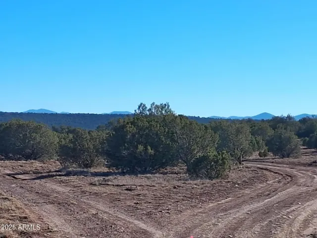 $16,996 | 19 County Road, Show Low, AZ 85901
