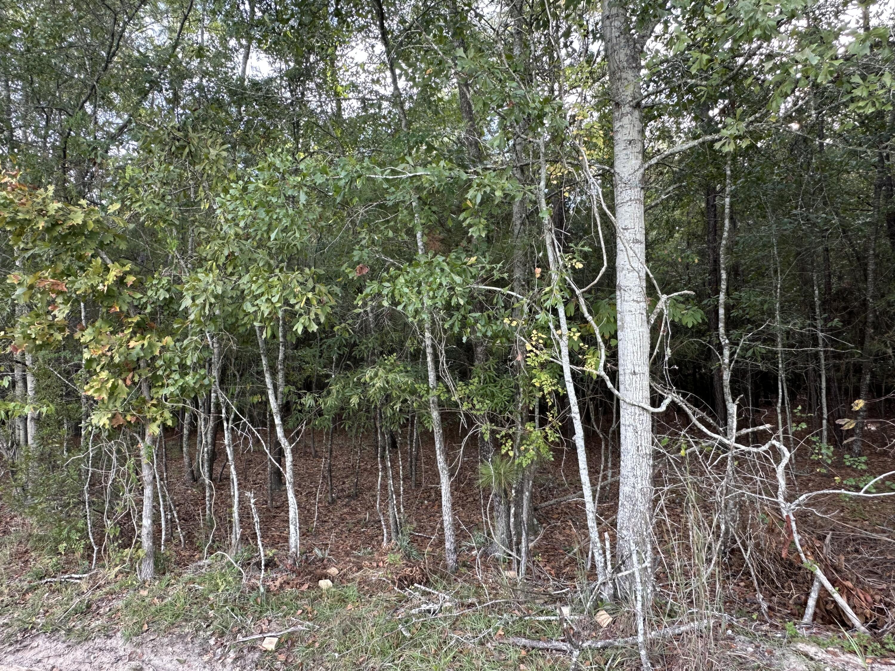 6 Hudson Summerton, SC 29148 - Photo 2 of 9