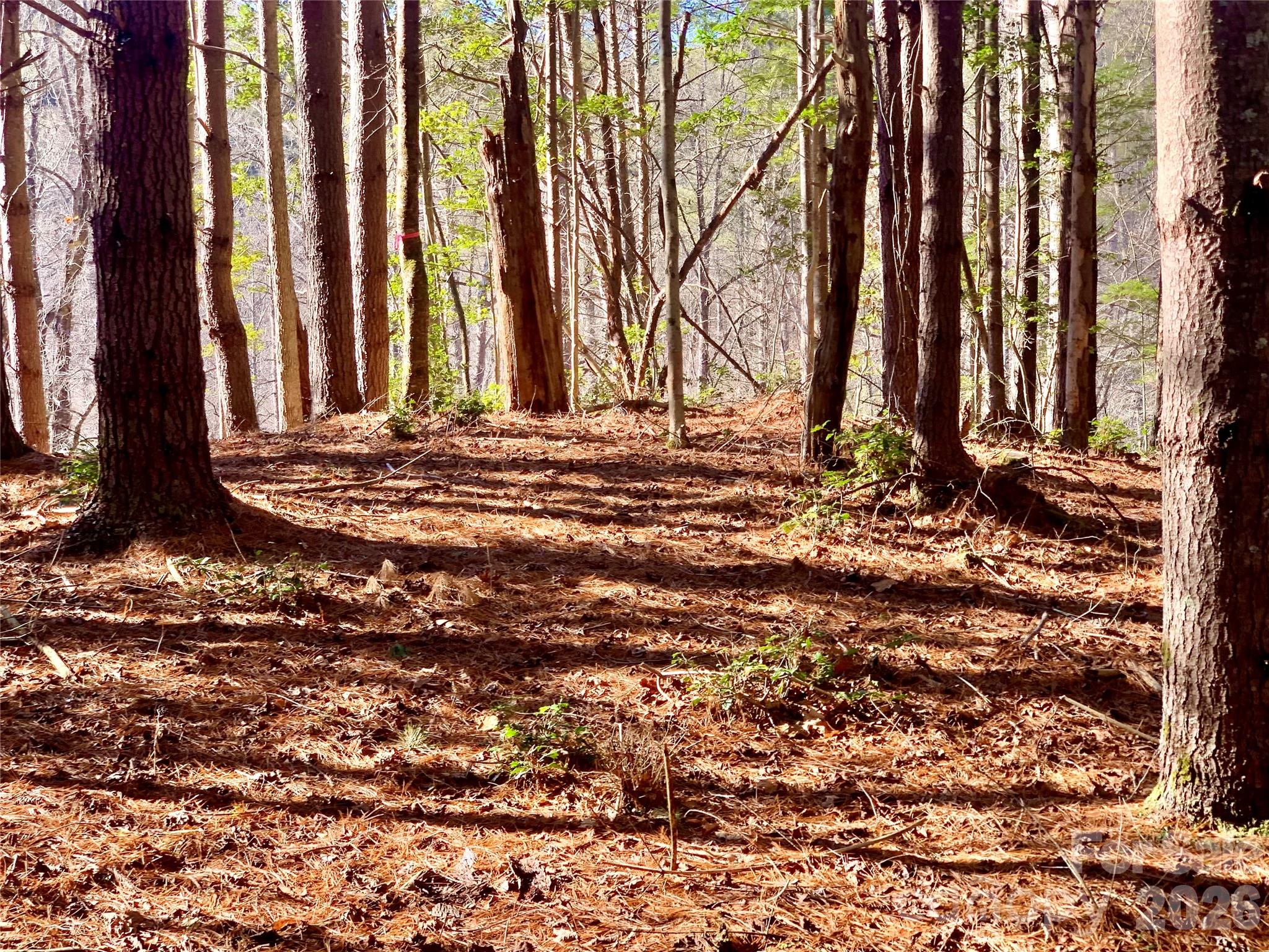6129 Painted Rdg Trail, Unit LOT 739 Lenoir, NC 28645 - Photo 11 of 39