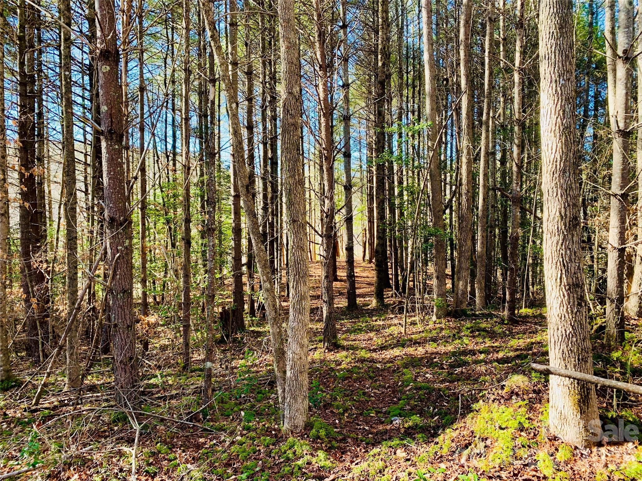 6129 Painted Rdg Trail, Unit LOT 739 Lenoir, NC 28645 - Photo 12 of 39