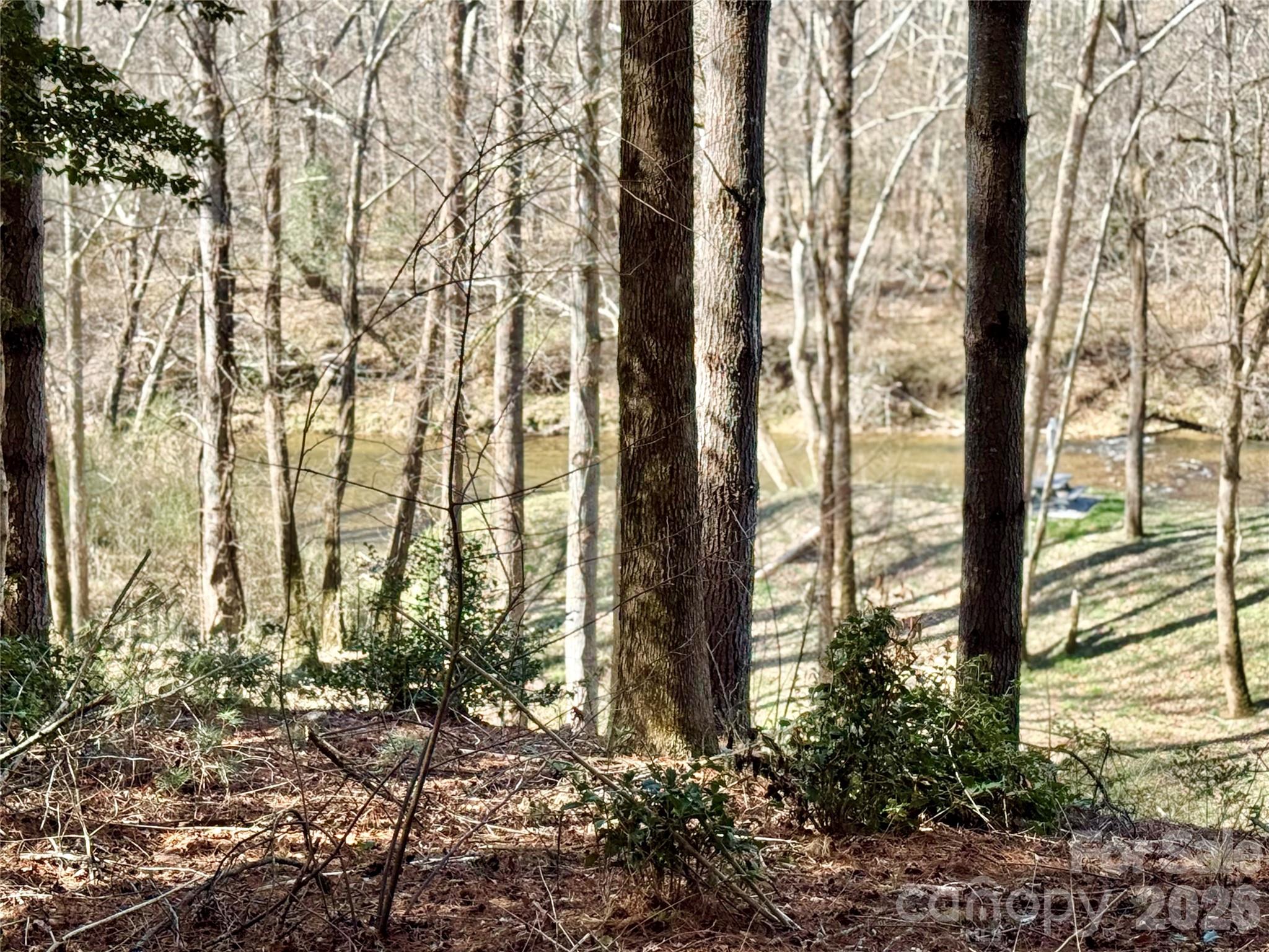 6129 Painted Rdg Trail, Unit LOT 739 Lenoir, NC 28645 - Photo 2 of 39