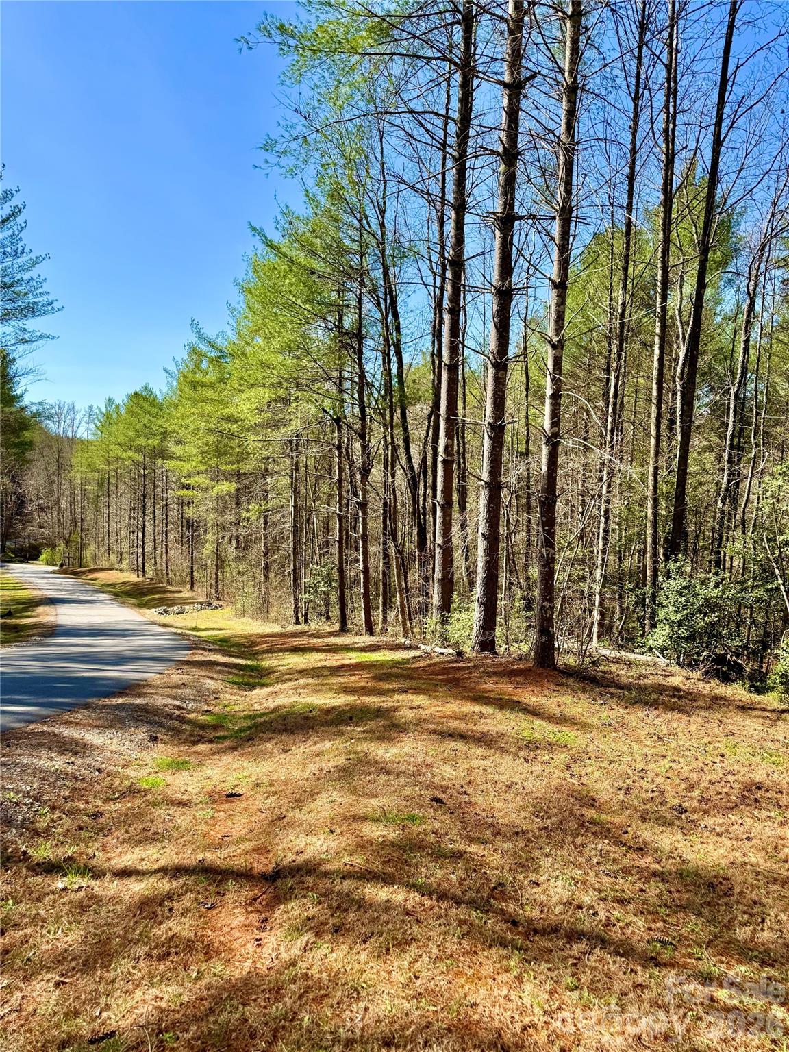 6129 Painted Rdg Trail, Unit LOT 739 Lenoir, NC 28645 - Photo 3 of 39