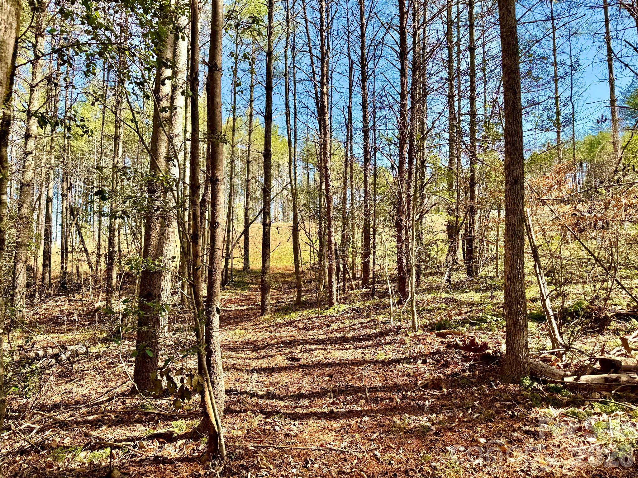 6129 Painted Rdg Trail, Unit LOT 739 Lenoir, NC 28645 - Photo 4 of 39
