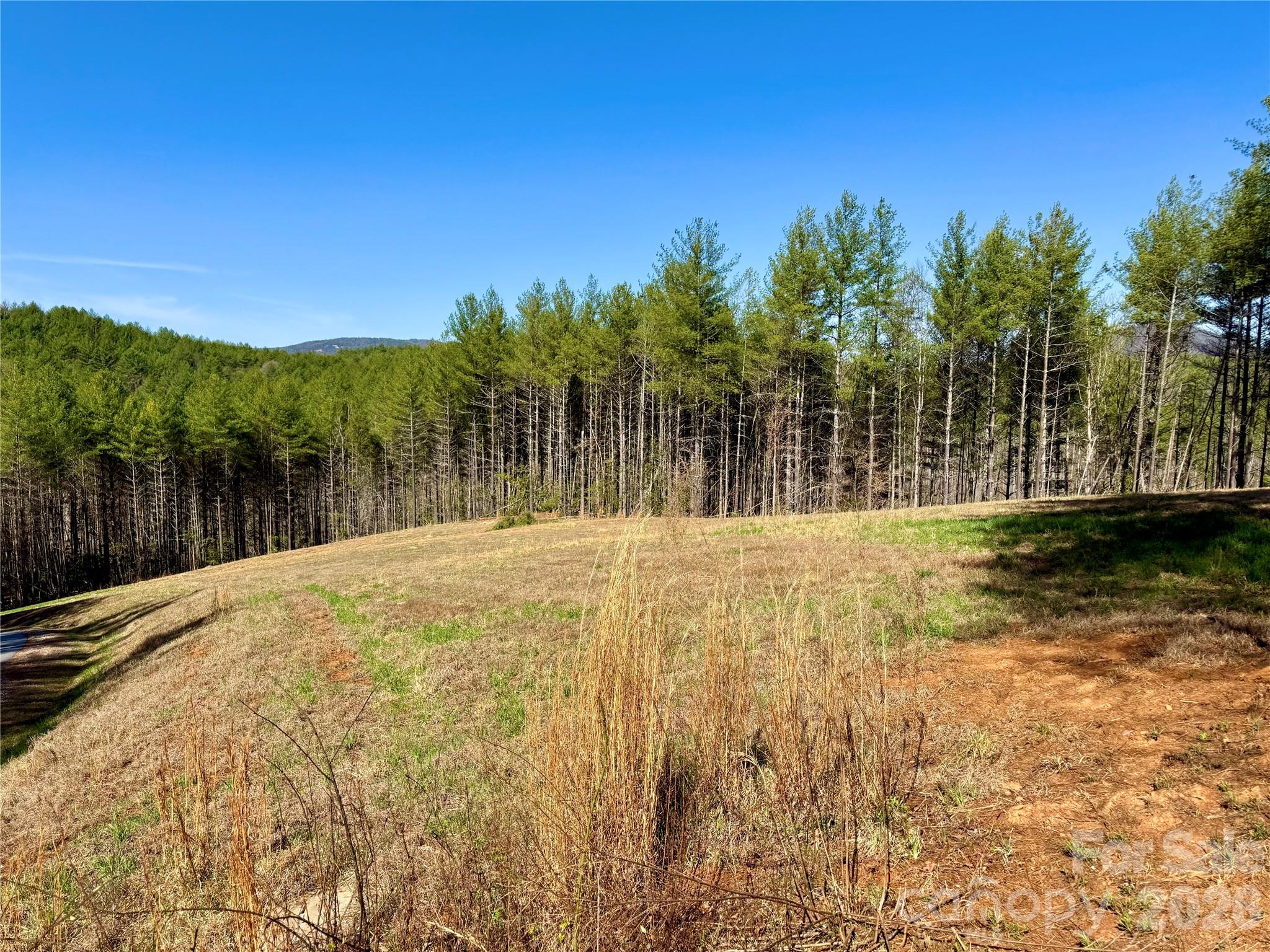 6129 Painted Rdg Trail, Unit LOT 739 Lenoir, NC 28645 - Photo 8 of 39