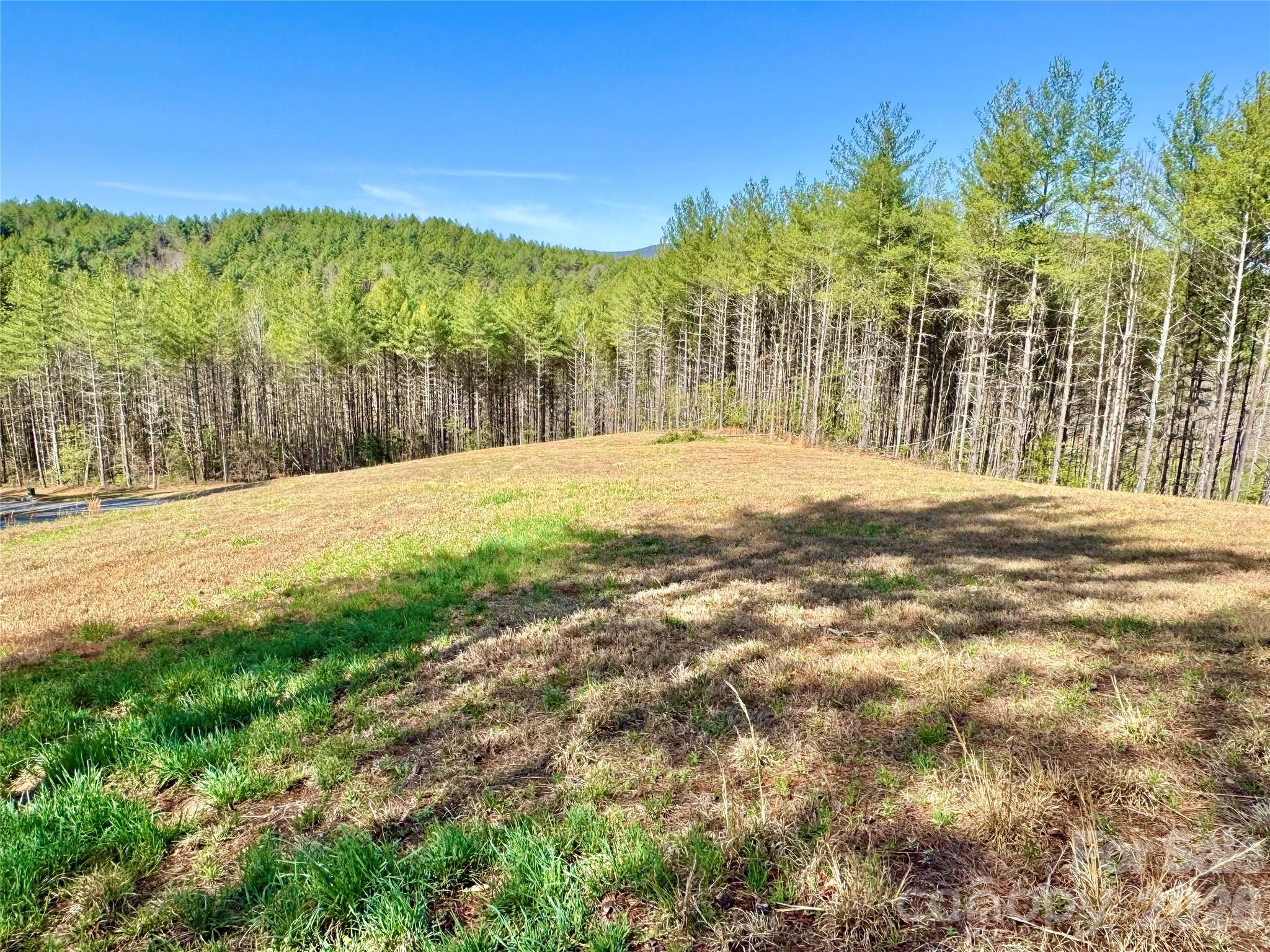 6129 Painted Rdg Trail, Unit LOT 739 Lenoir, NC 28645 - Photo 10 of 39