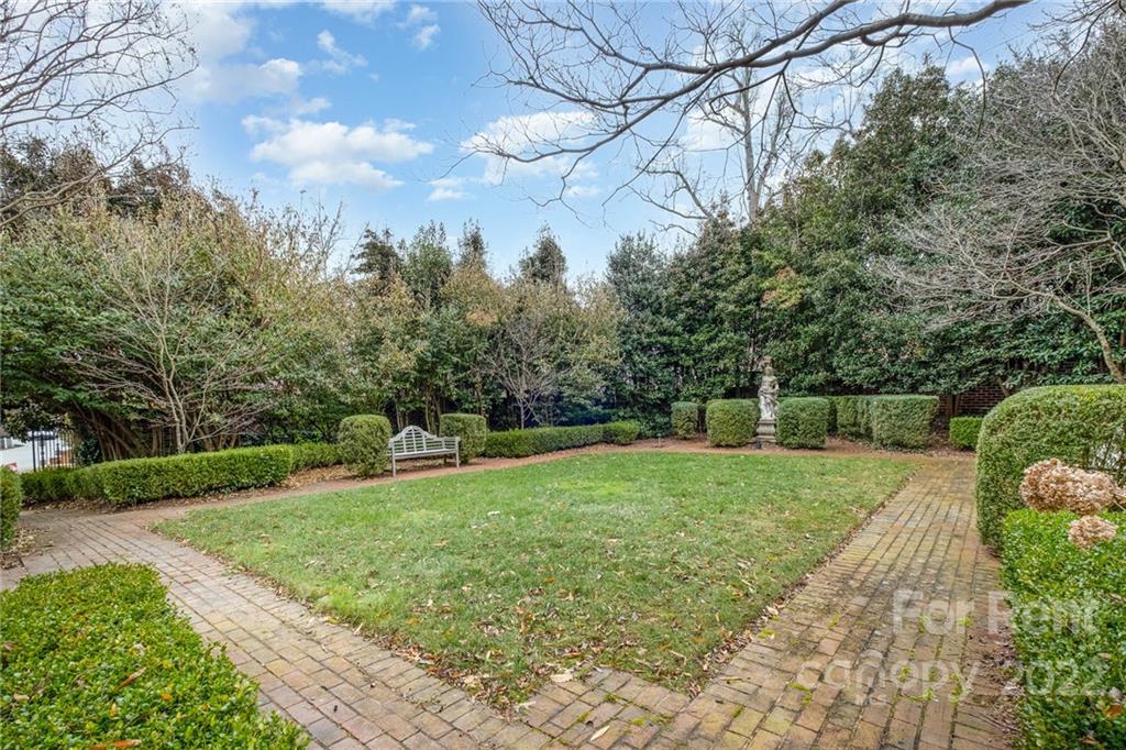 1107 Queens Road Charlotte, NC 28207 - Photo 40 of 44 a view of a backyard with large trees