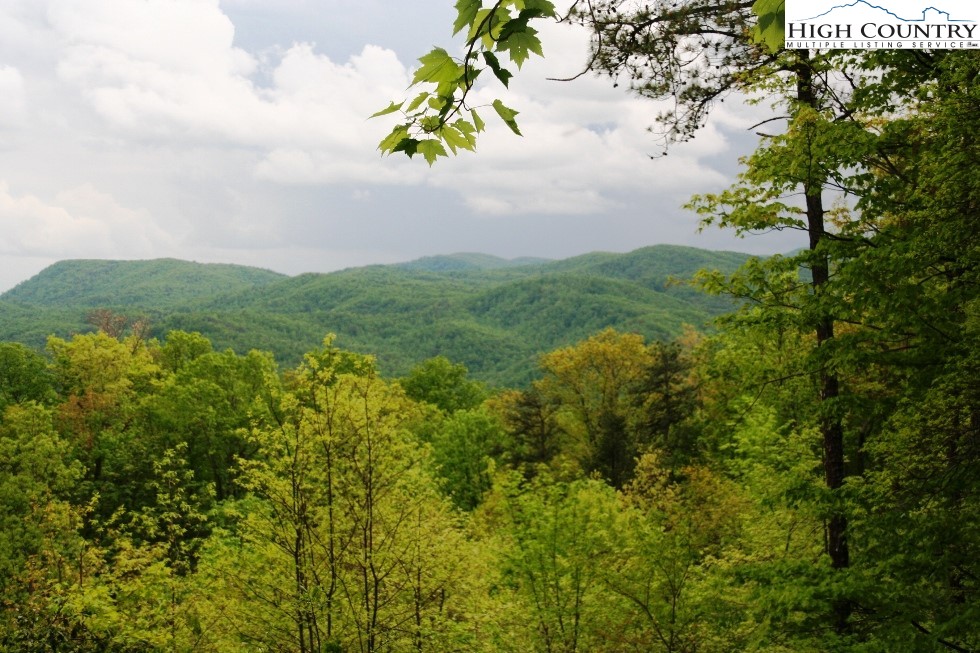 40 Elk Ridge Road Ferguson, NC 28624 - Photo 2 of 6