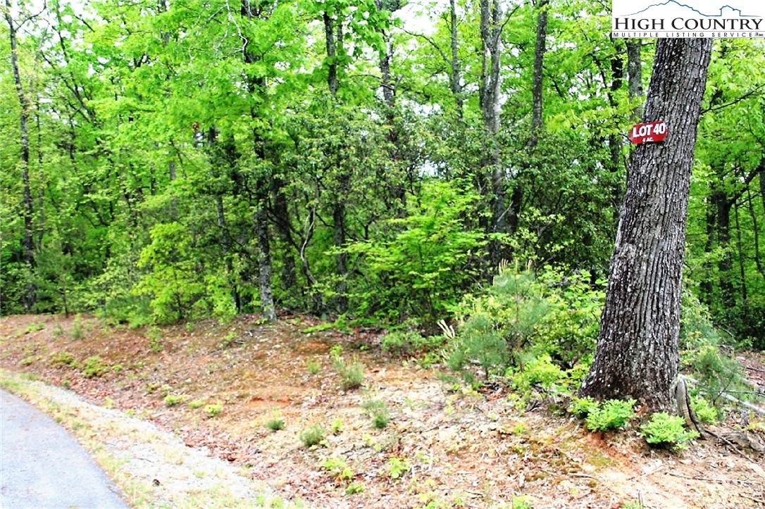 40 Elk Ridge Road Ferguson, NC 28624 - Photo 3 of 6