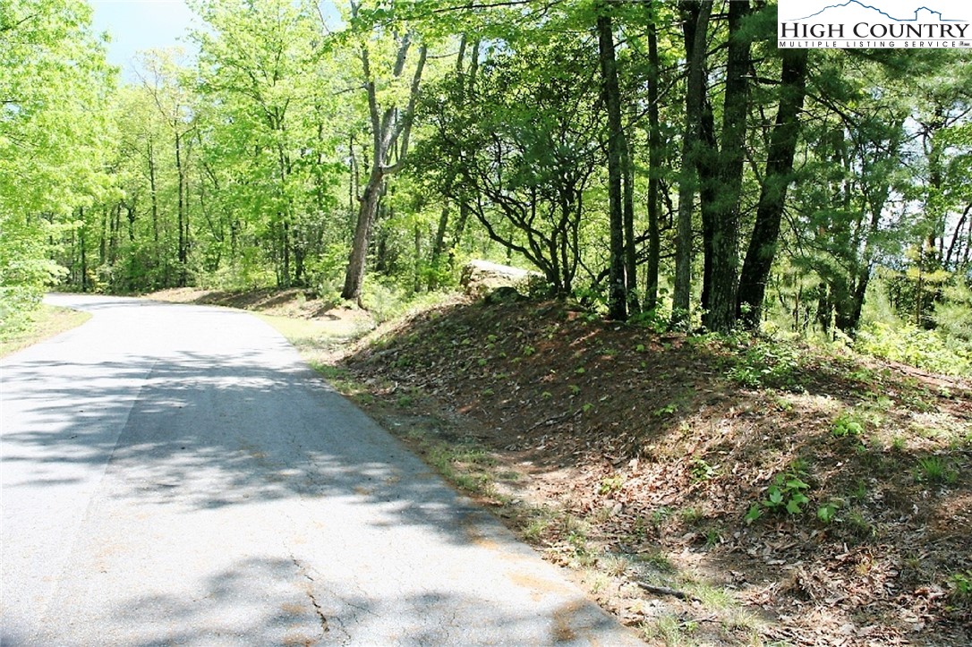40 Elk Ridge Road Ferguson, NC 28624 - Photo 4 of 6