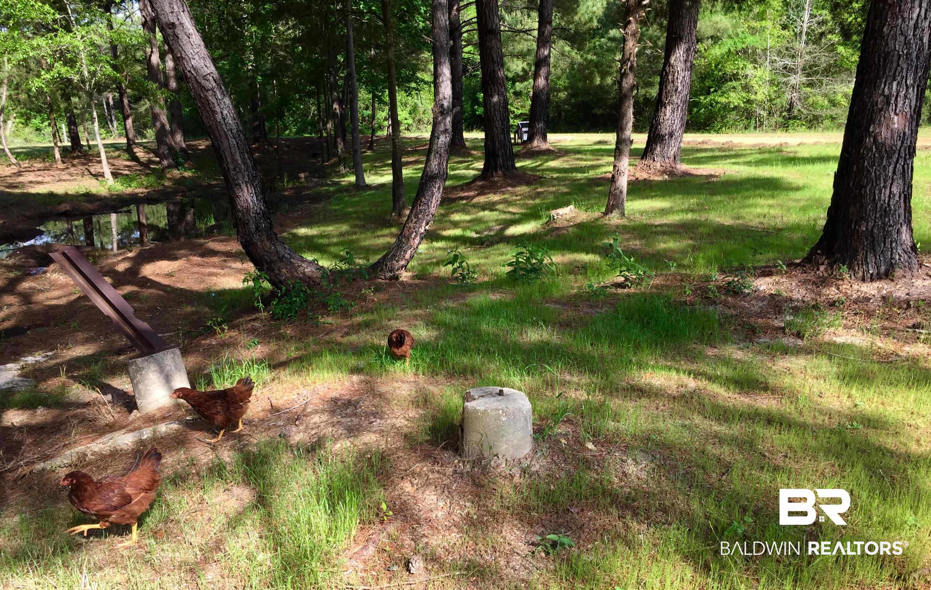 150 Range Road Repton, AL 36475 - Photo 26 of 26