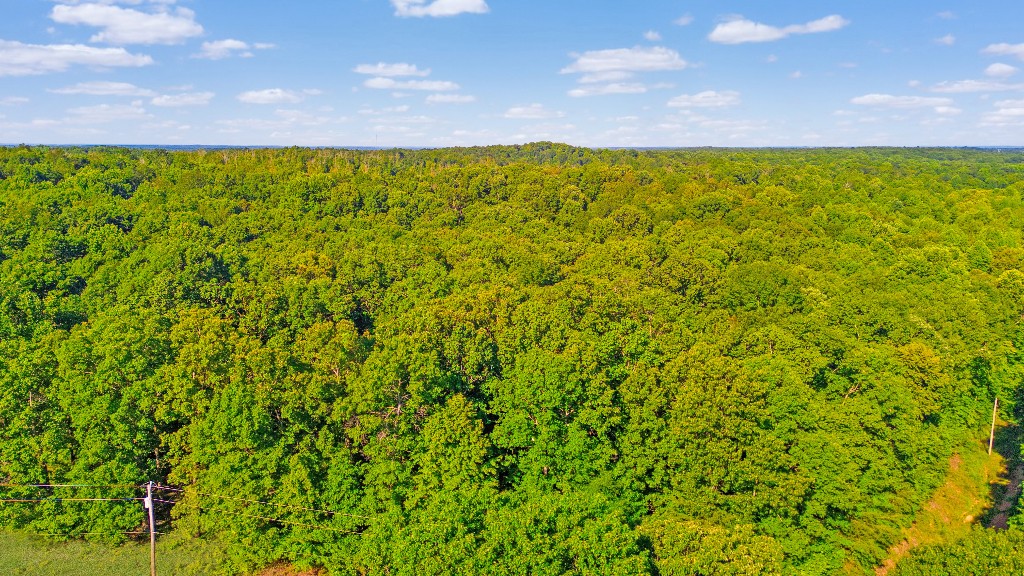 2701 Gray Branch Road McEwen, TN 37101 - Photo 6 of 15 Gallery Image 6