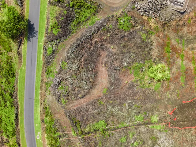 an aerial view of a house with a garden