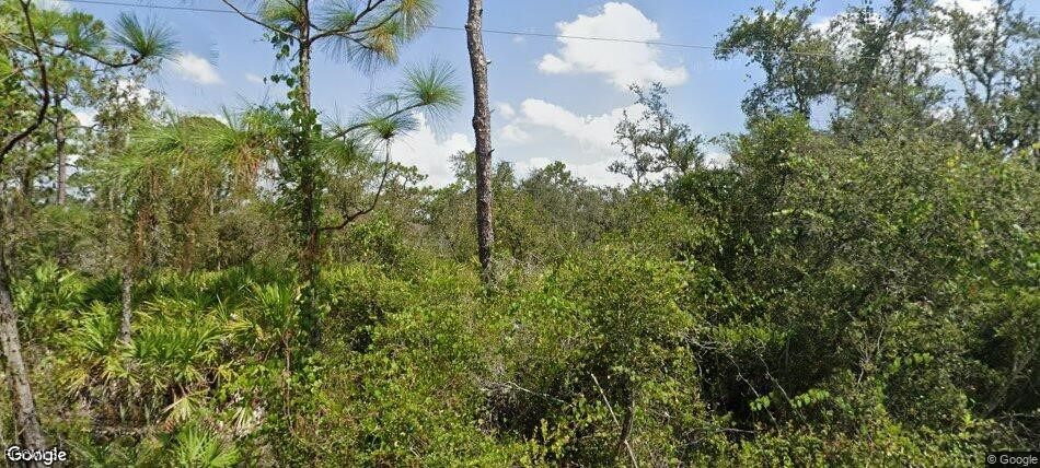 33502 Walnut Drive Punta Gorda, FL 33982 - Photo 2 of 2 a view of a forest