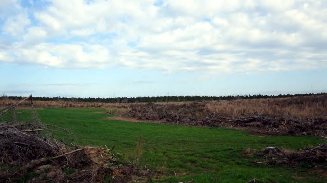 0 Dickey Mills Road Magnolia, MS 39652 - Photo 1 of 1 Main View
