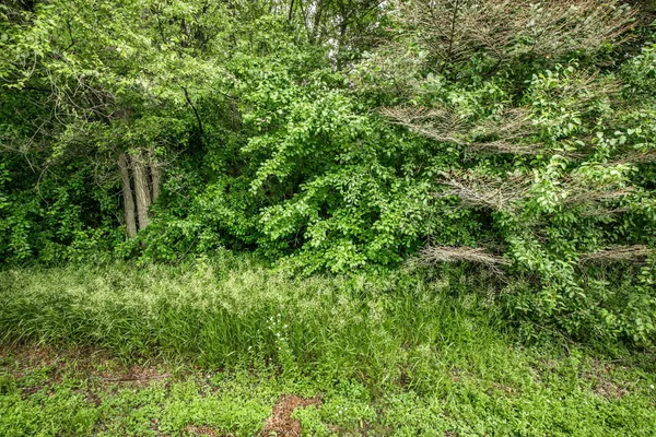 $149,000 | 3122 Blackheath Drive, St. Cloud, MN 56301