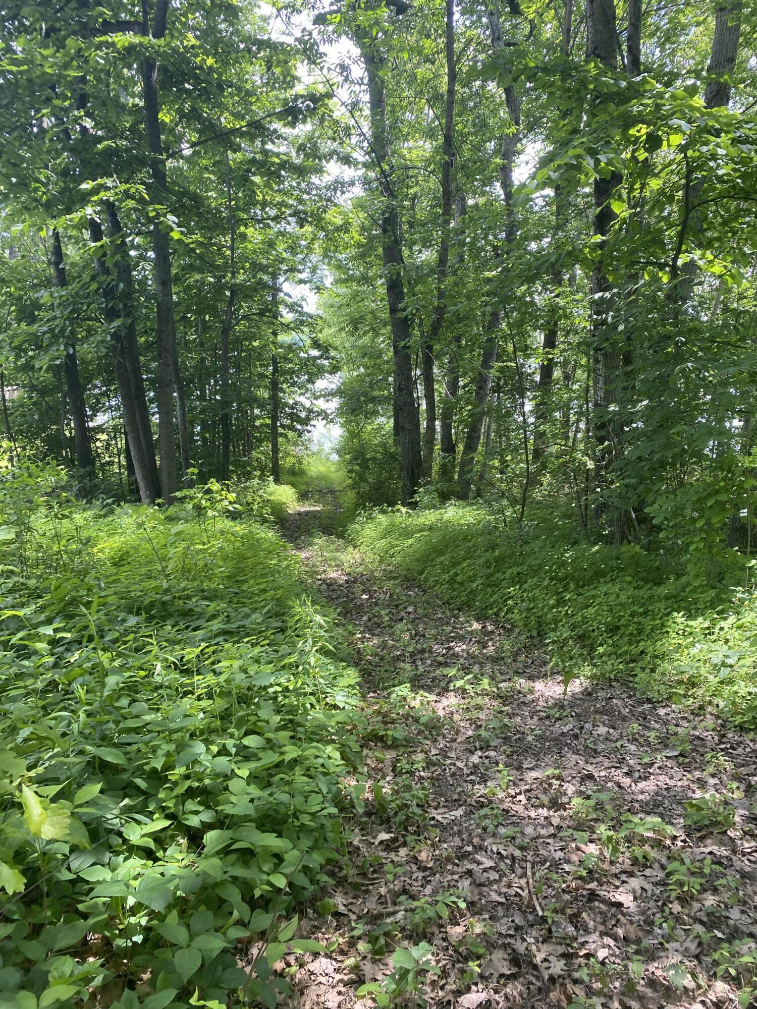 582 Neck Road South China, ME 04358 - Photo 26 of 35 IMG_9150