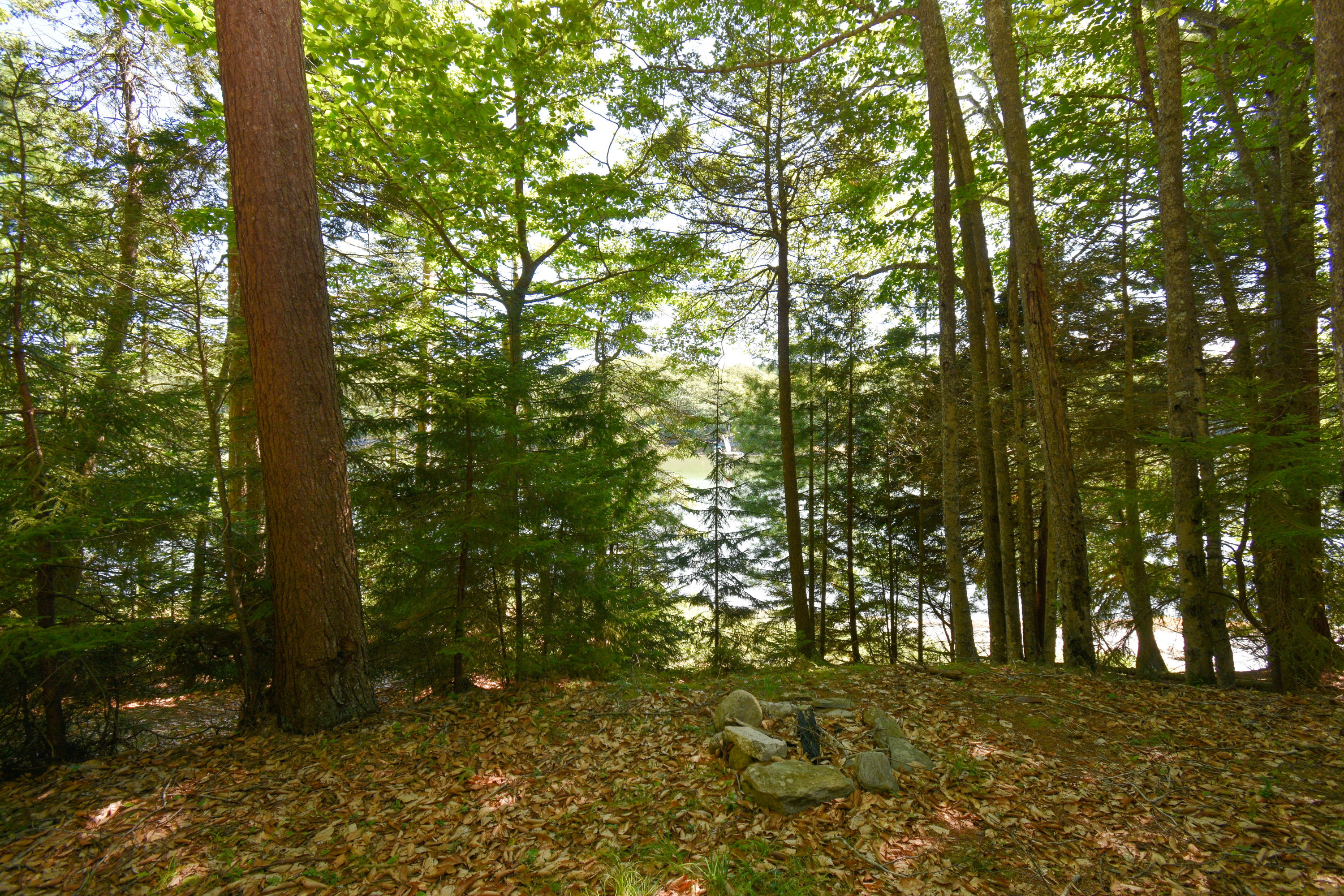 170 Bayview Road Orrs Island, ME 04066 - Photo 6 of 11 DSC_2767-2