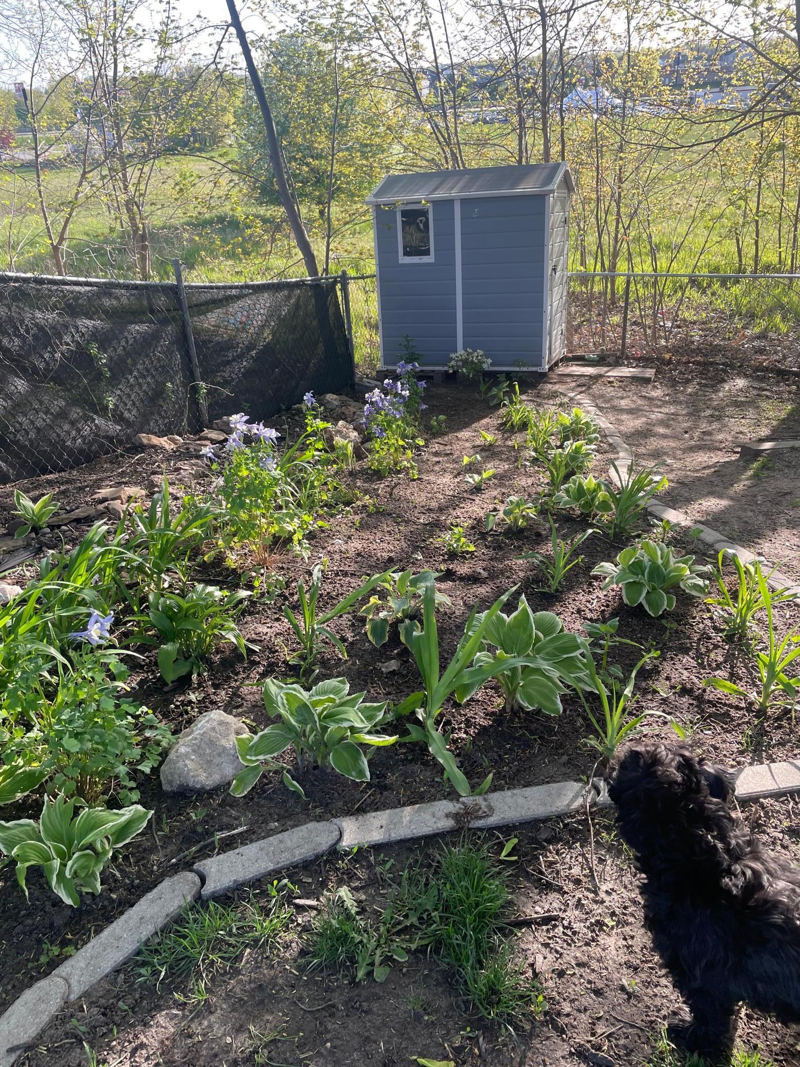4237 22nd Avenue Northwest Rochester, MN 55901 - Photo 29 of 29