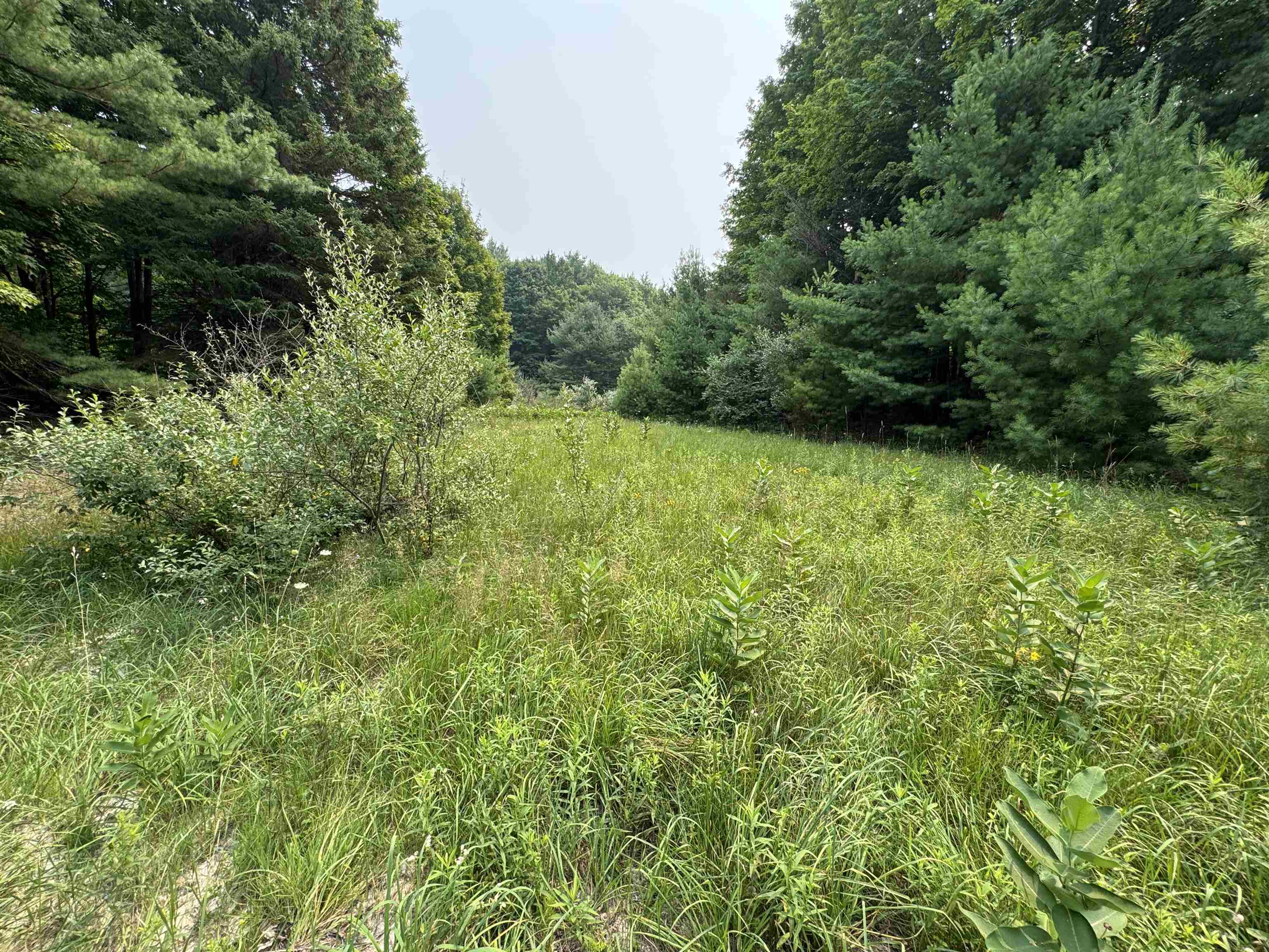 Lot #4 East Bellinger Road, Unit BELLINGER ESTATES Cedar, MI 49621 - Photo 4 of 27