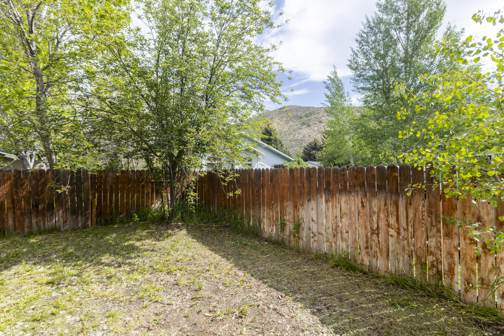 931 Jackpine Drive Hailey, ID 83333 - Photo 22 of 23 Backyard 3