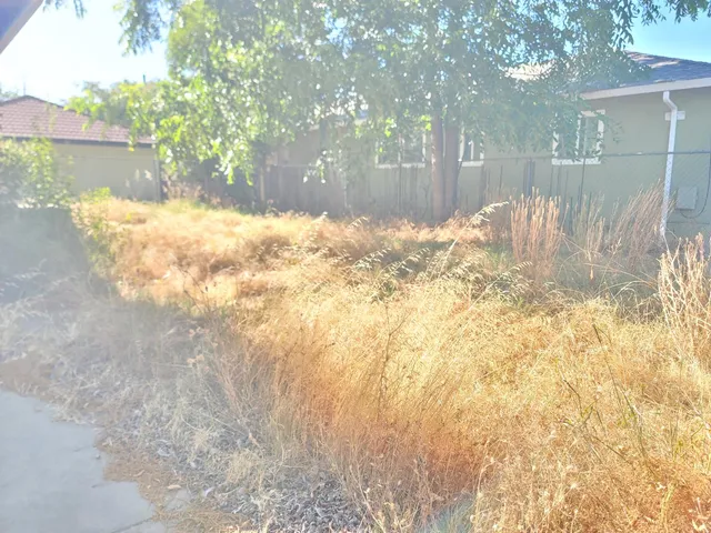 a view of backyard of the house
