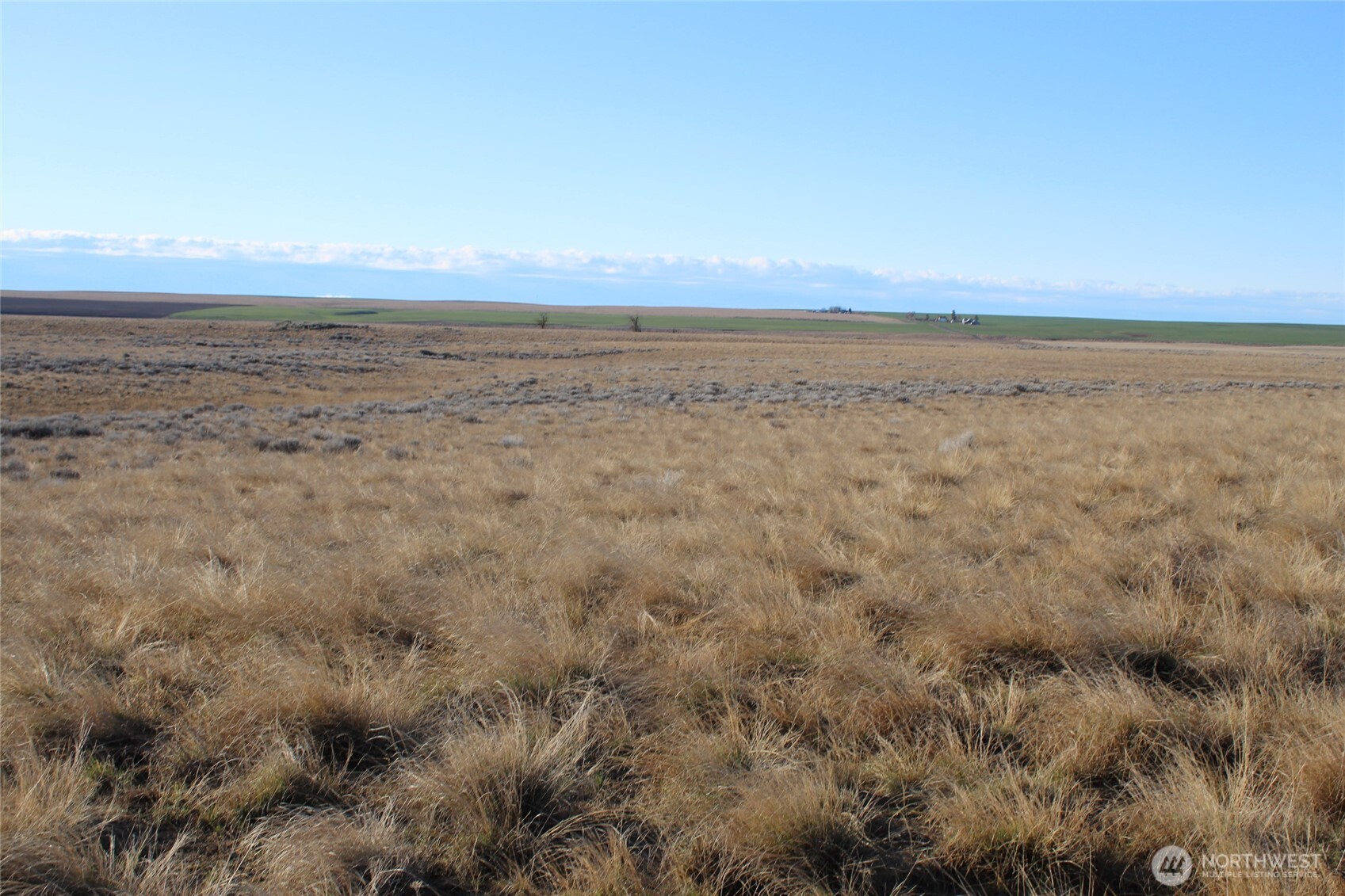 a view of an ocean beach