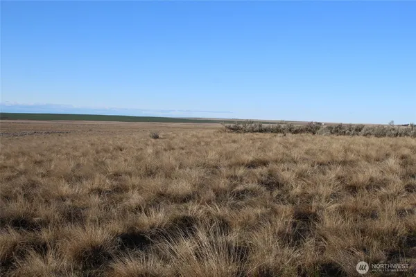 a view of an ocean beach
