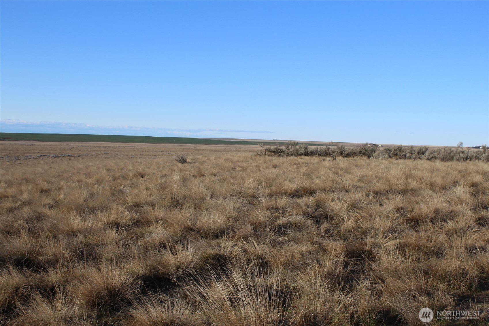0 Schafer And Dewalt Road Ritzville, WA 99169 - Photo 2 of 4 a view of an ocean beach
