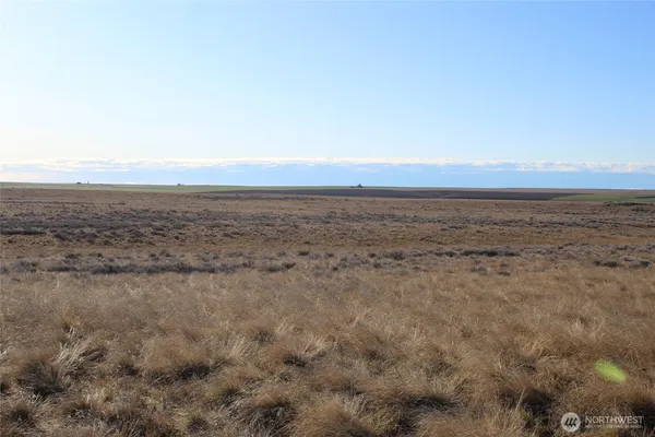 a view of an ocean beach