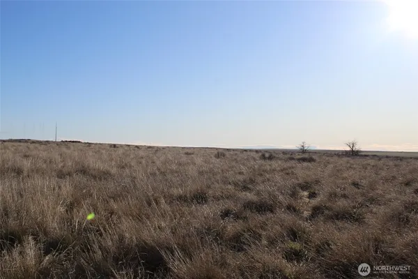 a view of a dry field with trees in background