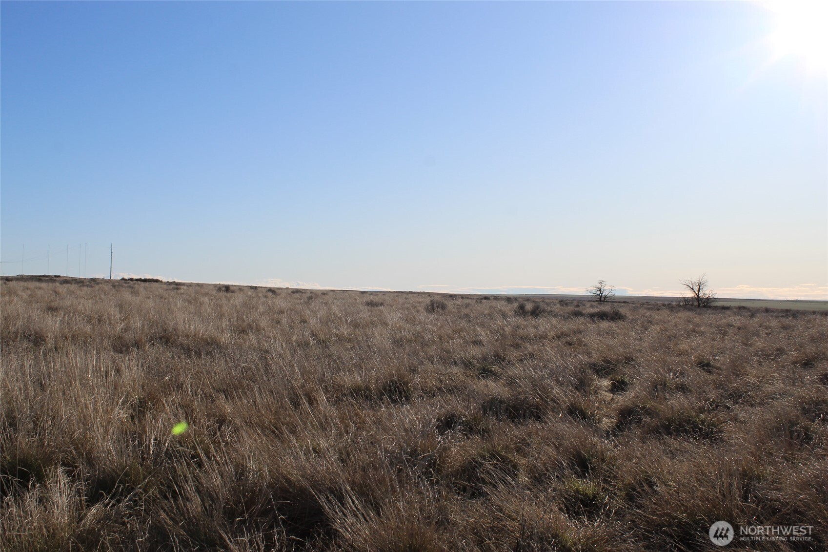 0 Schafer And Dewalt Road Ritzville, WA 99169 - Photo 4 of 4 a view of a dry field with trees in background