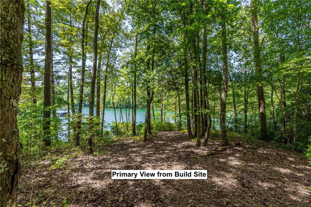 240 Jocassee Point Road, Unit J62 Salem, SC 29676 - Photo 4 of 25