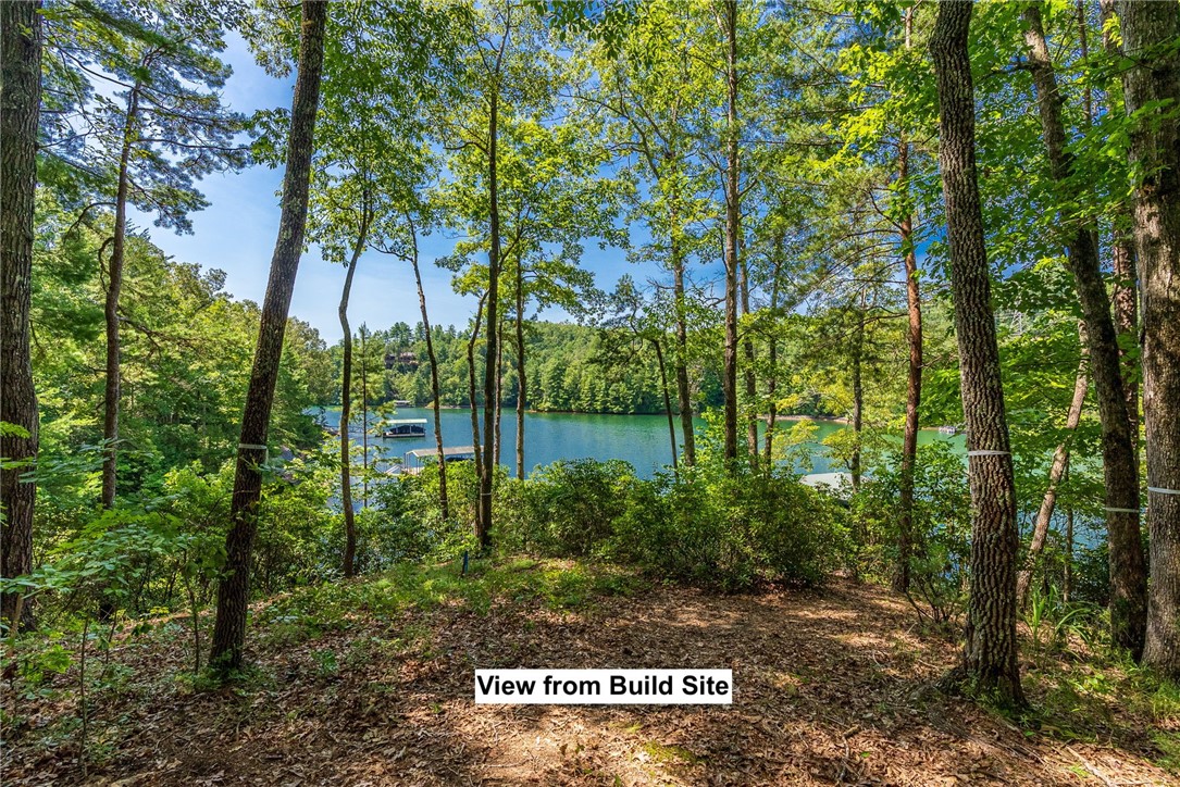 240 Jocassee Point Road, Unit J62 Salem, SC 29676 - Photo 5 of 25