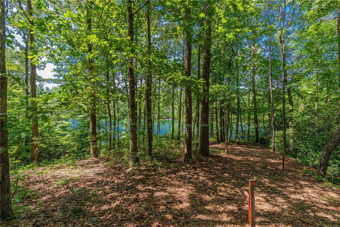 240 Jocassee Point Road, Unit J62 Salem, SC 29676 - Photo 8 of 25