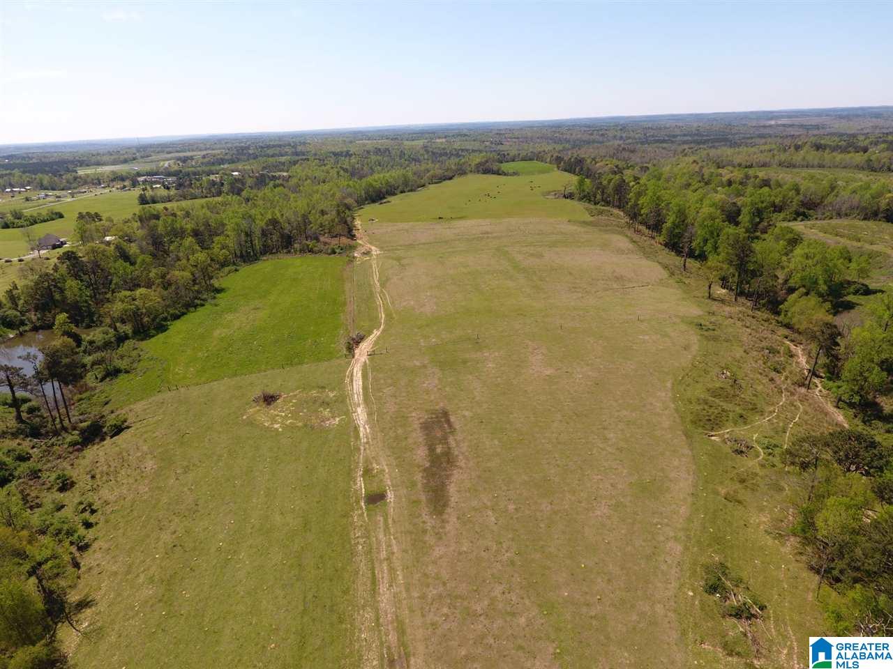 0 County Road 30, Unit 1 Clanton, AL 35045 - Photo 8 of 32