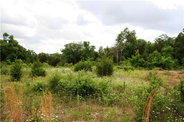 2929 Ownby Road Lewisburg, TN 37091 - Photo 3 of 4 Great for hunting