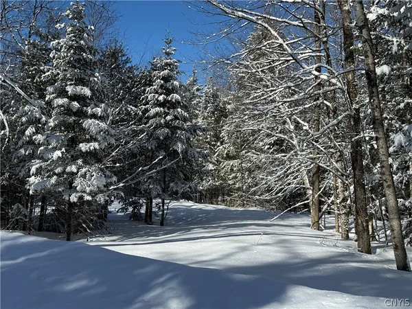 $34,900 | 9971 Welsh District Road, Remsen, NY 13438