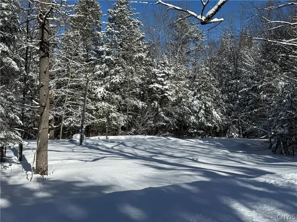 $34,900 | 9971 Welsh District Road, Remsen, NY 13438