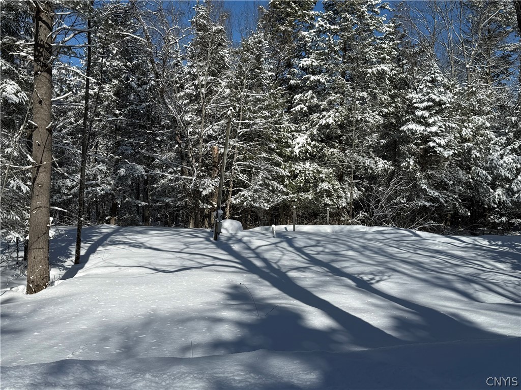 9971 Welsh District Road Remsen, NY 13438 - Photo 4 of 6