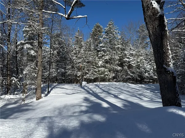 $34,900 | 9971 Welsh District Road, Remsen, NY 13438
