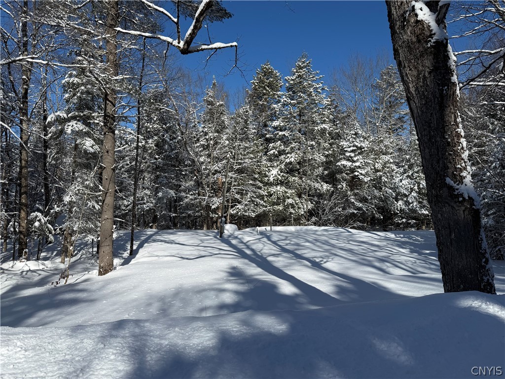 9971 Welsh District Road Remsen, NY 13438 - Photo 5 of 6